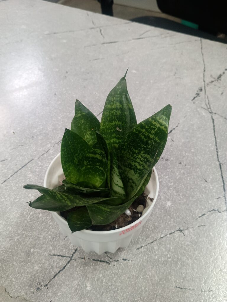 Image #2 from TARKESH JI