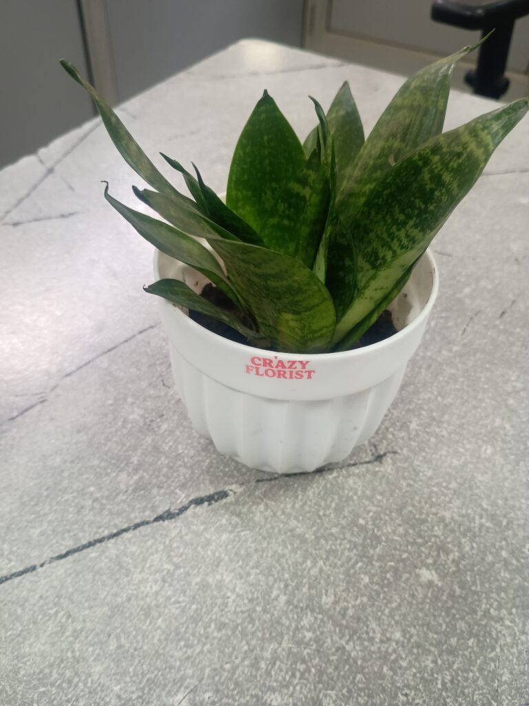 Image #3 from TARKESH JI